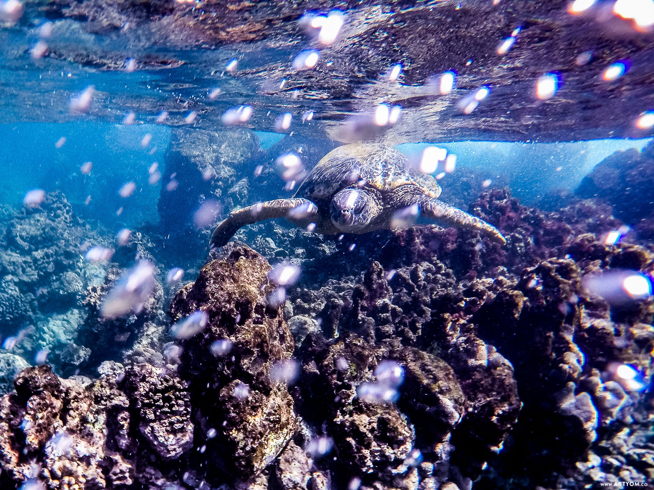 Maui, Hawaii / Мауи, Гавайи